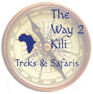 The Way 2 Kili Logo